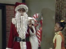 Dap Sugar Willie