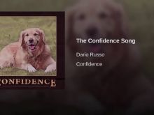 Dario Russo