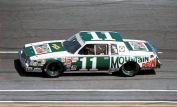 Darrell Waltrip