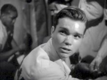 Darryl Hickman