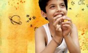 Darsheel Safary