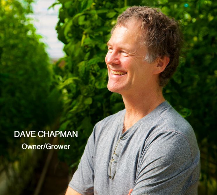 Dave Chapman
