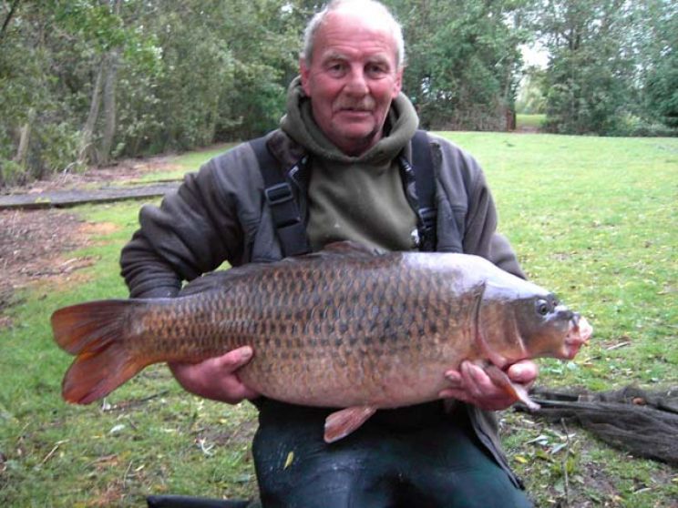 Dave Green