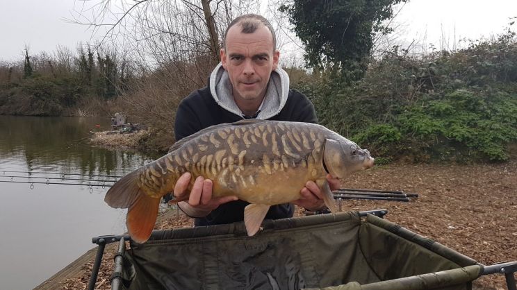 Dave Lamb