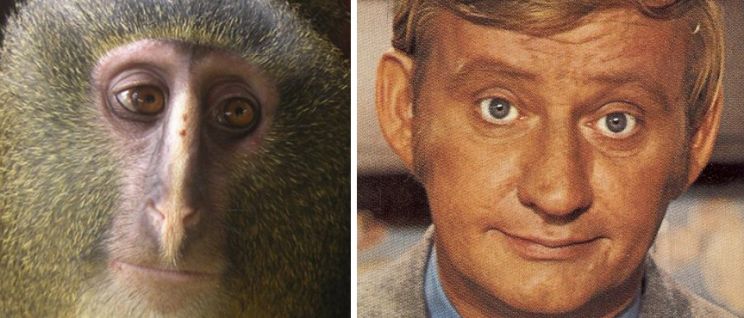 Dave Madden
