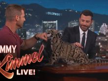 Dave Salmoni #3527918 picture (Landscape Medium)
