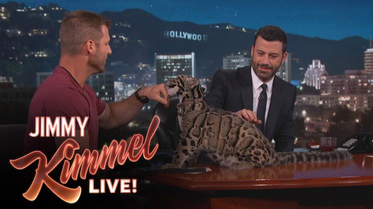 Dave Salmoni