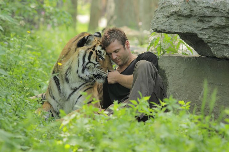 Dave Salmoni