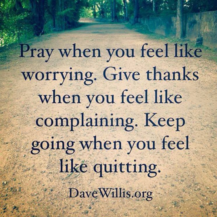 Dave Willis