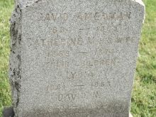 David Amerman