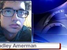 David Amerman