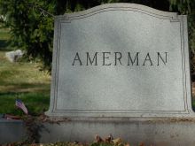 David Amerman