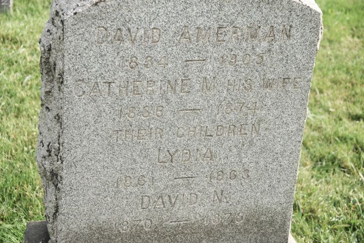 David Amerman