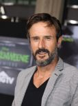 David Arquette