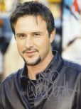 David Arquette