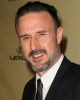 David Arquette