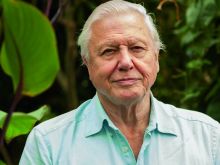 David Attenborough