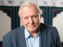 David Attenborough