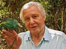 David Attenborough