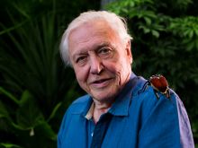 David Attenborough