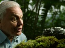 David Attenborough