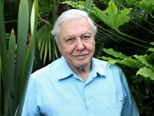 David Attenborough