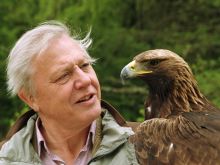 David Attenborough