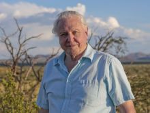 David Attenborough