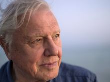 David Attenborough