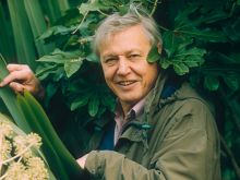 David Attenborough