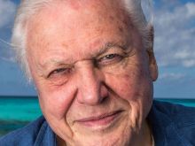 David Attenborough