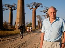 David Attenborough