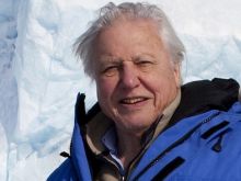 David Attenborough