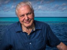 David Attenborough