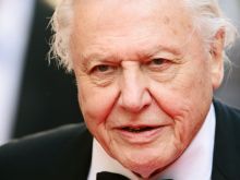 David Attenborough