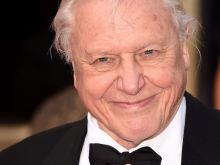 David Attenborough