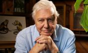 David Attenborough