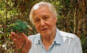 David Attenborough