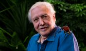 David Attenborough