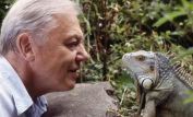 David Attenborough