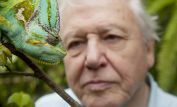 David Attenborough