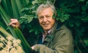 David Attenborough