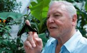 David Attenborough