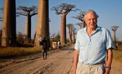 David Attenborough