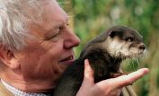 David Attenborough