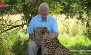 David Attenborough