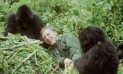 David Attenborough