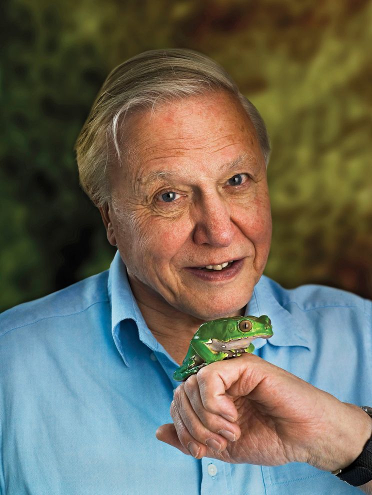 David Attenborough