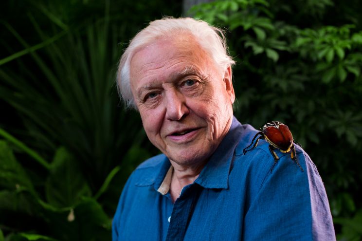 David Attenborough