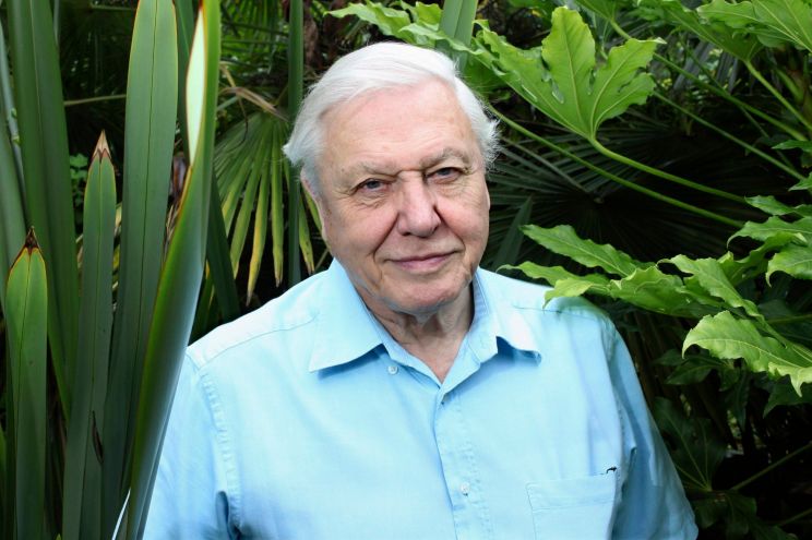 David Attenborough